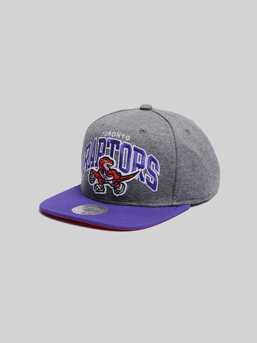 Mitchell & Ness Toronto Raptors Snapback